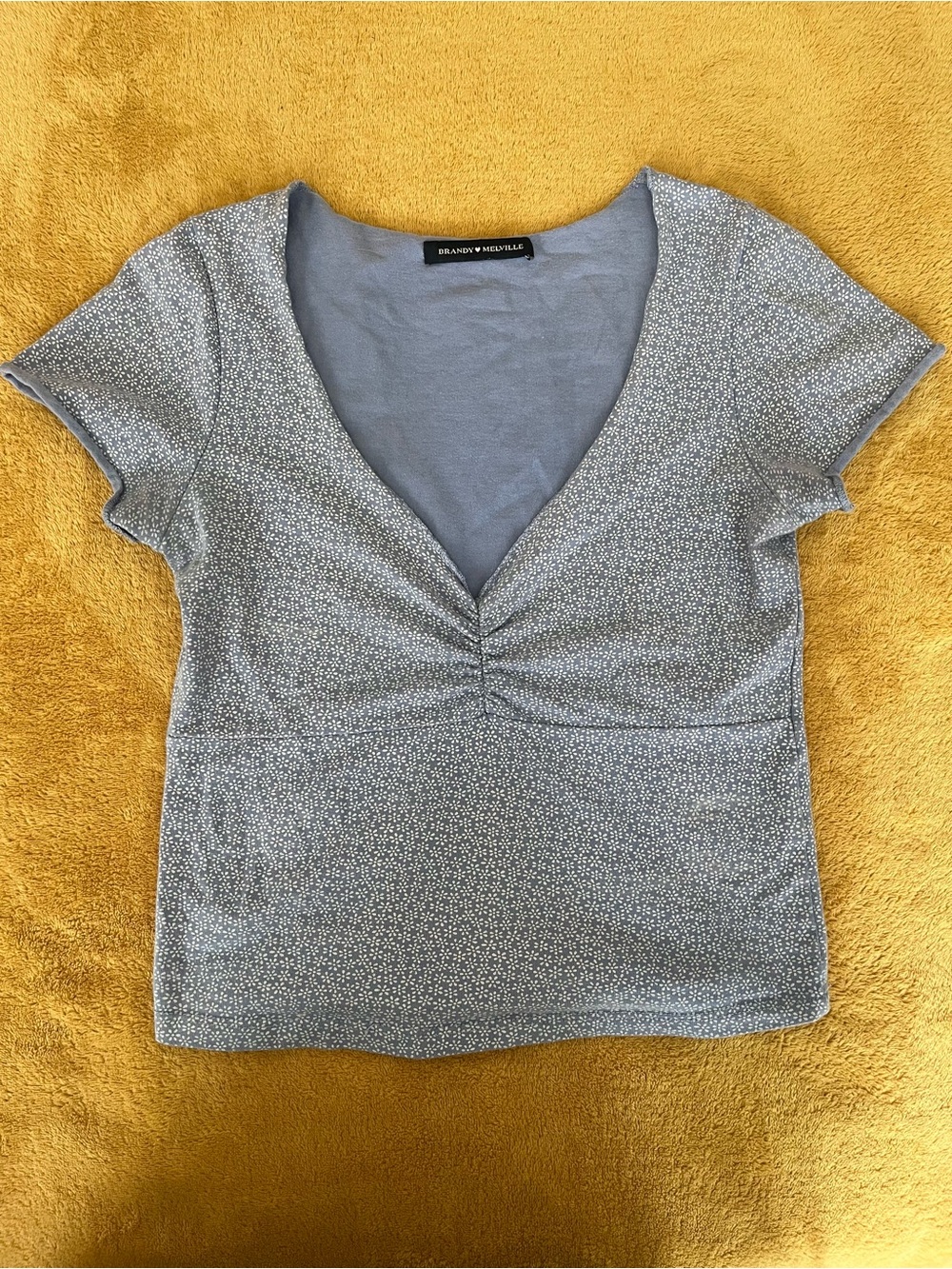 Brandy Melville Light Blue V-Neck Ruched Short Sleeve Top